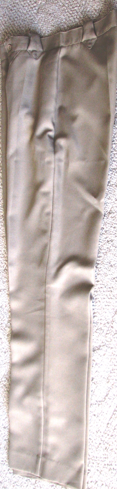 Silver Mesa Pants ~ Like New