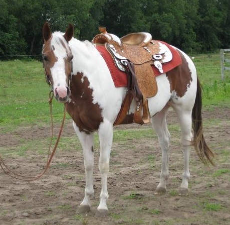 LET HER LOPE